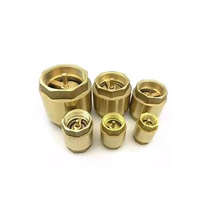Copper Springed Check Valve
