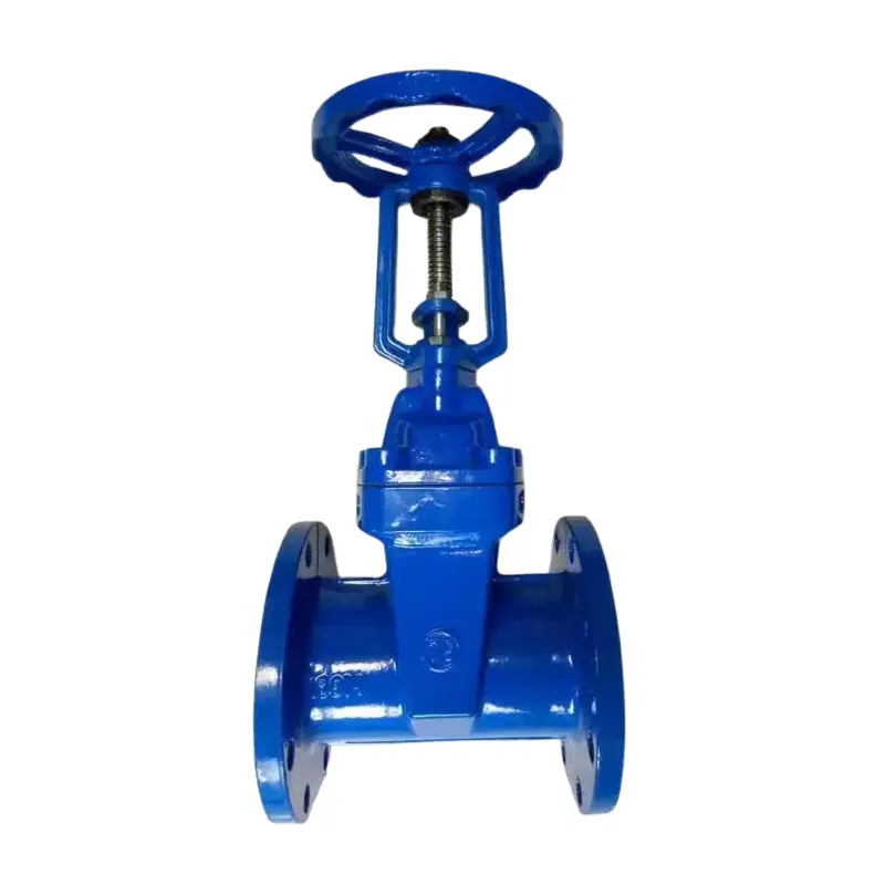 Ang Ducte Iron Open Stem Soft Sour Flange Gate Valve