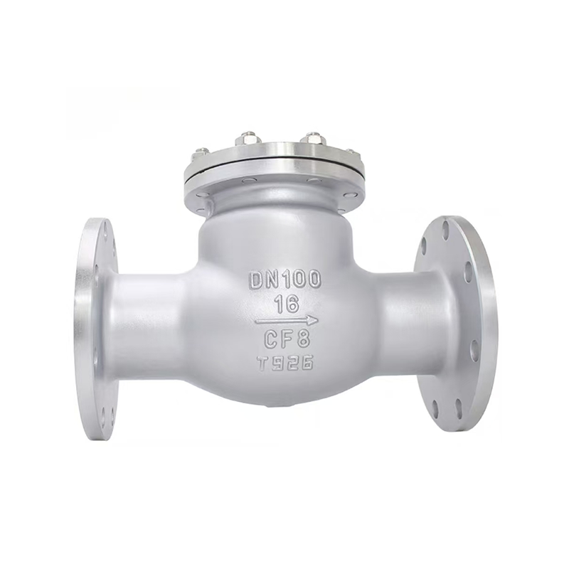 Stainless steel swing check balbula